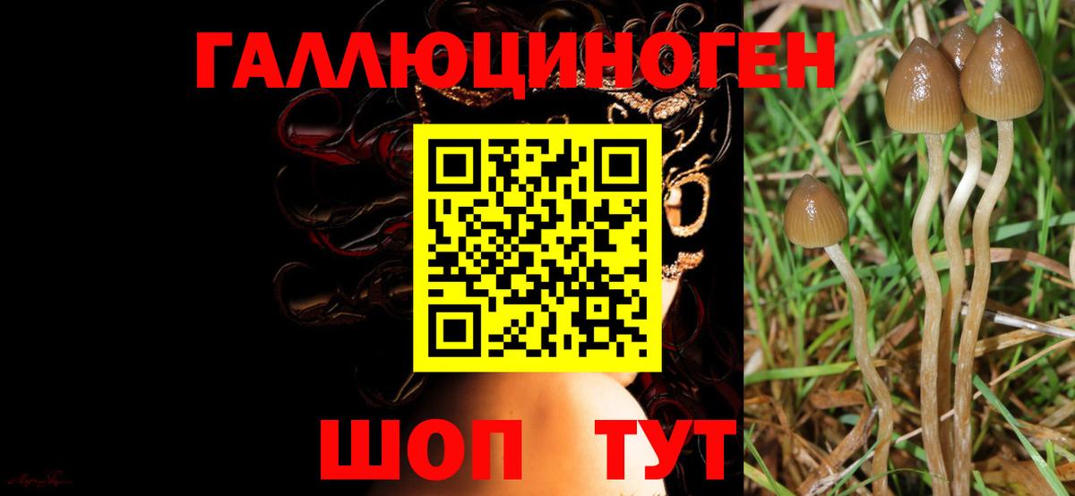 Галлюциногенные грибы Magic Shrooms Нягань